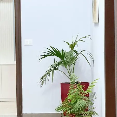 아파트 Aem 2 Bedroom Apt #1 골렘